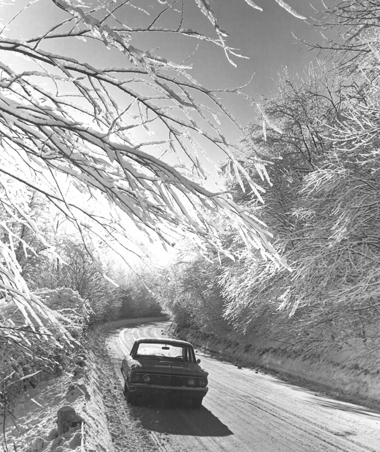 Washington Mountain, January 1963